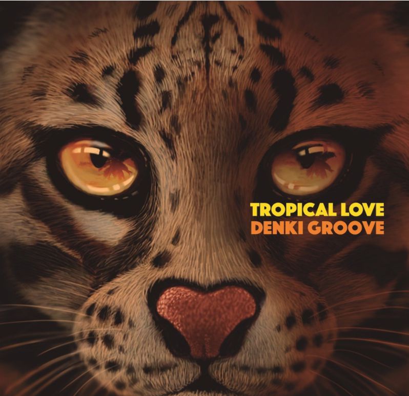 denki groove vitamin